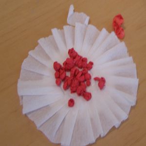 kotylion